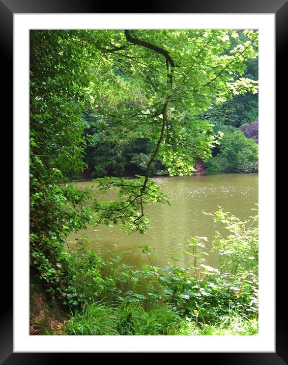 Still Waters. Framed Mounted Print by Heather Goodwin