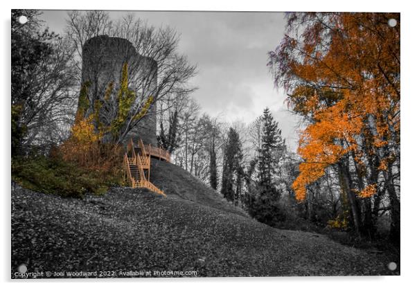 Bronllys Castle  Acrylic by Joel Woodward