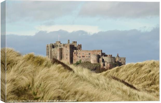 Nestled in the Dunes Canvas Print by Paul Watson
