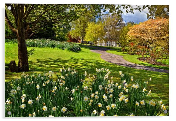 Spring in Sheffield Botanical Gardens Acrylic by Darren Galpin