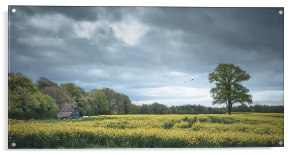 Rapeseed Field in Sussex Acrylic by Mark Jones