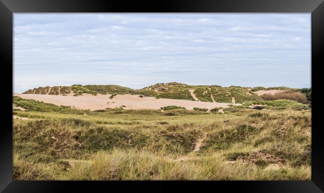 Sand dunes at the edge of Formby beach Framed Print by Jason Wells
