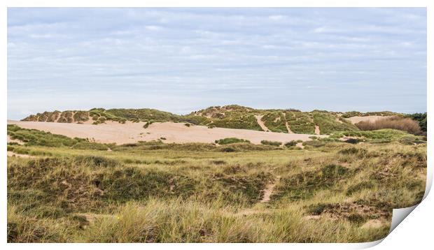 Sand dunes at the edge of Formby beach Print by Jason Wells