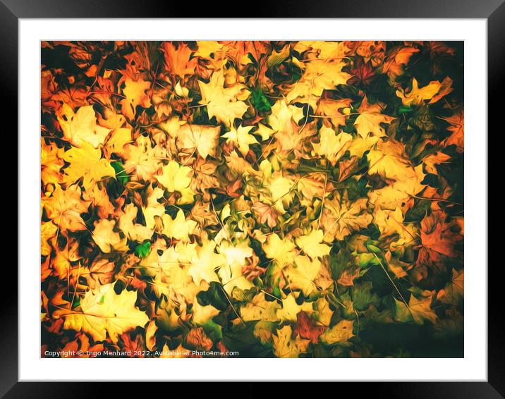 Artistic autumn Framed Mounted Print by Ingo Menhard