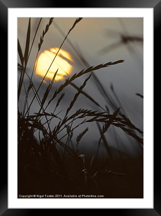 Barley sunrise Framed Mounted Print by Creative Photography Wales
