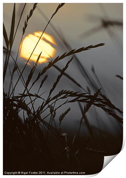 Barley sunrise Print by Creative Photography Wales