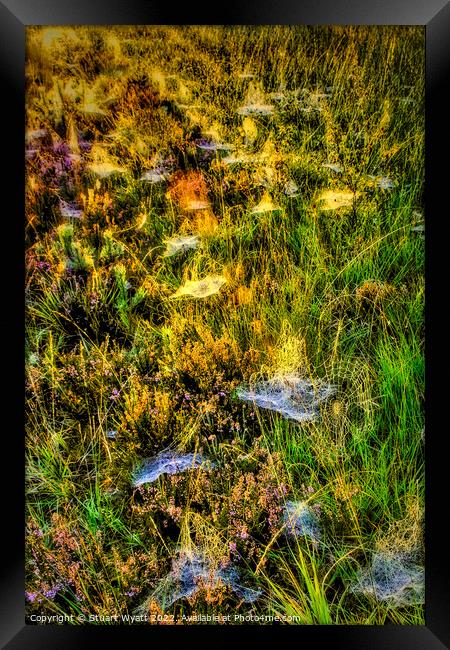 Cobwebs on the forest floor Framed Print by Stuart Wyatt