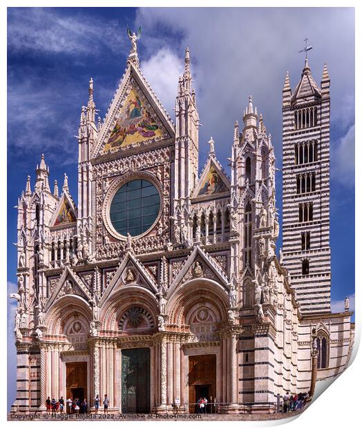 Masterpieces of Siena Cathedral, Italy  Print by Maggie Bajada