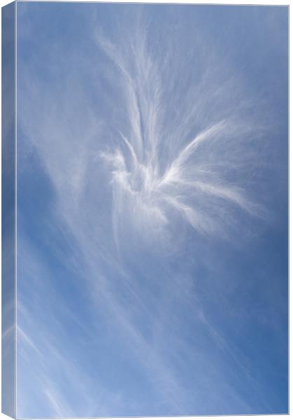 Emblematic cloud Canvas Print by Gary Eason