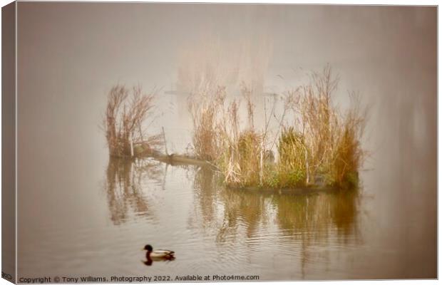 Misty Lake Canvas Print by Tony Williams. Photography email tony-williams53@sky.com