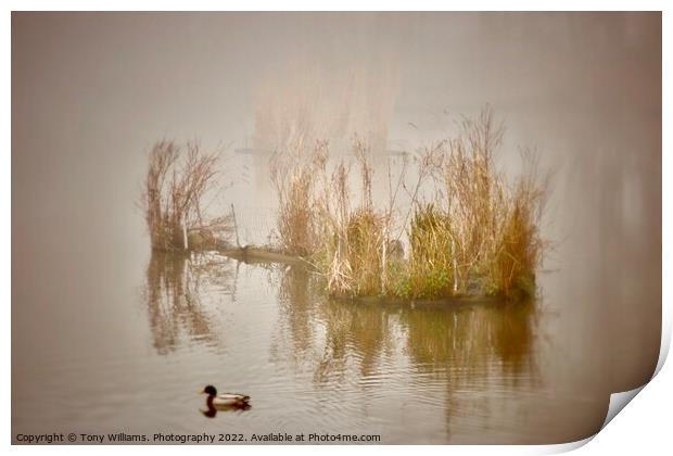 Misty Lake Print by Tony Williams. Photography email tony-williams53@sky.com