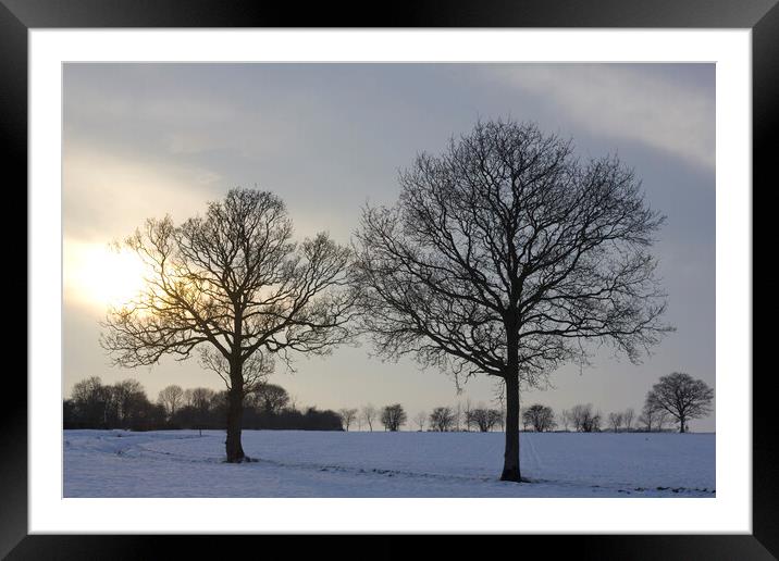 Winter Snow Sunrise   Framed Mounted Print by Darren Burroughs