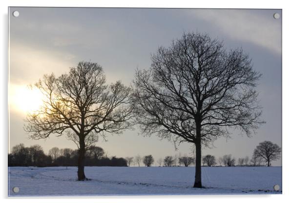 Winter Snow Sunrise   Acrylic by Darren Burroughs