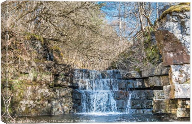 Bow Lee Beck Waterfall in Spring Sunshine Canvas Print by Richard Laidler