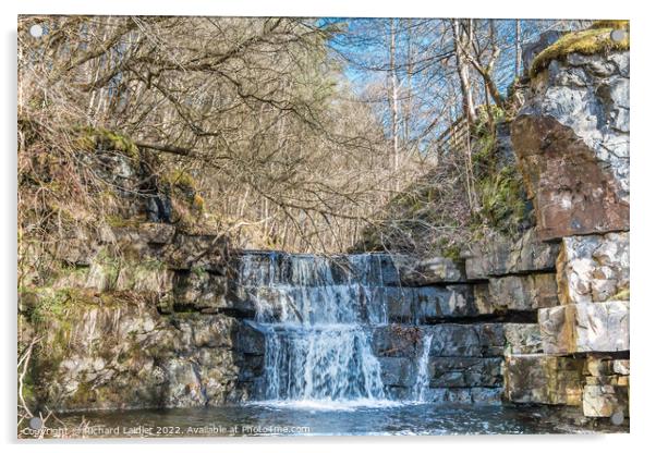 Bow Lee Beck Waterfall in Spring Sunshine Acrylic by Richard Laidler