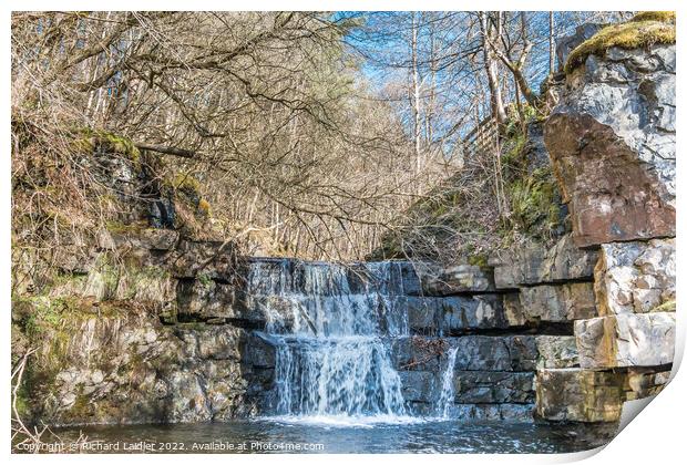 Bow Lee Beck Waterfall in Spring Sunshine Print by Richard Laidler
