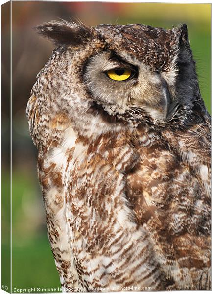 Eagle owl Canvas Print by michelle rook
