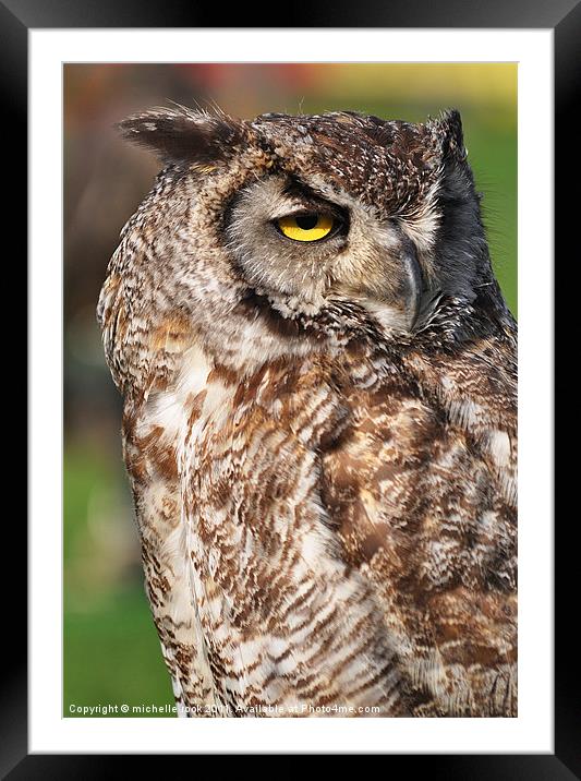 Eagle owl Framed Mounted Print by michelle rook
