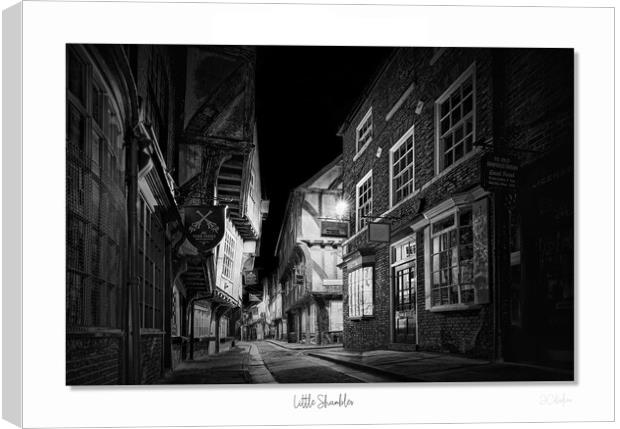 Little Shambles in mono  black and white Canvas Print by JC studios LRPS ARPS
