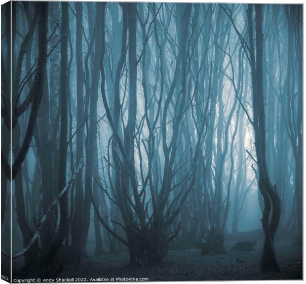 Misty Forest Canvas Print by Andy Shackell