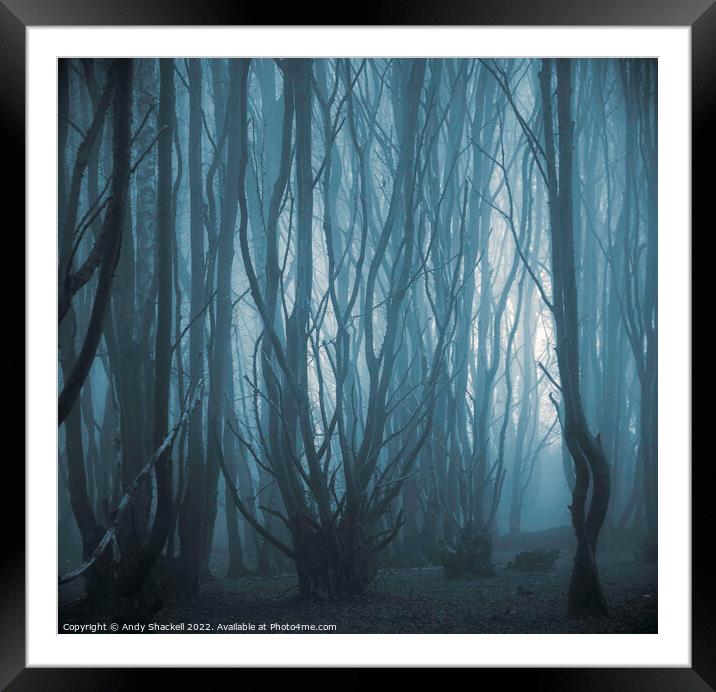 Misty Forest Framed Mounted Print by Andy Shackell