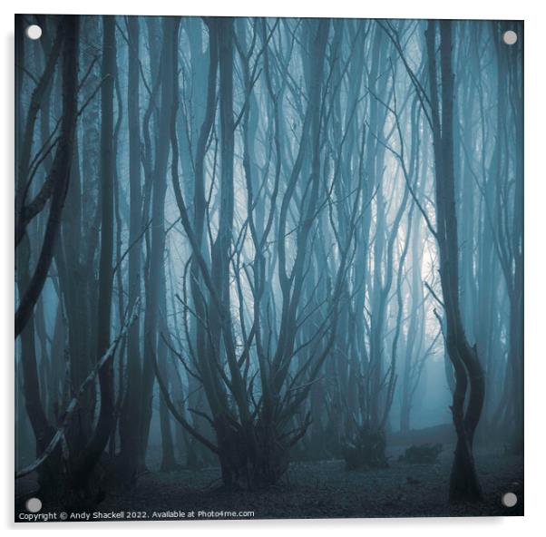 Misty Forest Acrylic by Andy Shackell