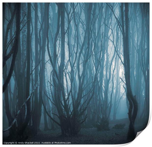 Misty Forest Print by Andy Shackell