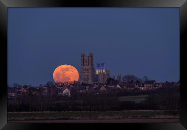 Worm Moon rising behind Ely Cathedral, 18th March 2022 Framed Print by Andrew Sharpe