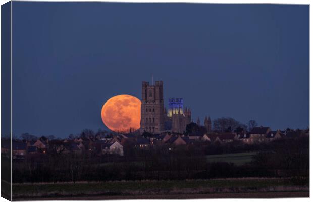 Worm Moon rising behind Ely Cathedral, 18th March 2022 Canvas Print by Andrew Sharpe