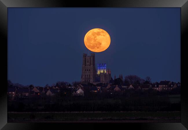 Worm Moon rising behind Ely Cathedral, 18th March 2022 Framed Print by Andrew Sharpe