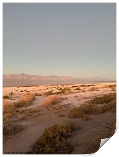 Salton Sea Beach, California Print by Laura Byrnes