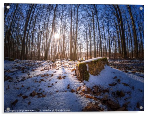 Winter impressions of the Bavarian forest in snow Acrylic by Ingo Menhard