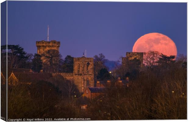 Warwick Castle Moonrise Canvas Print by Nigel Wilkins