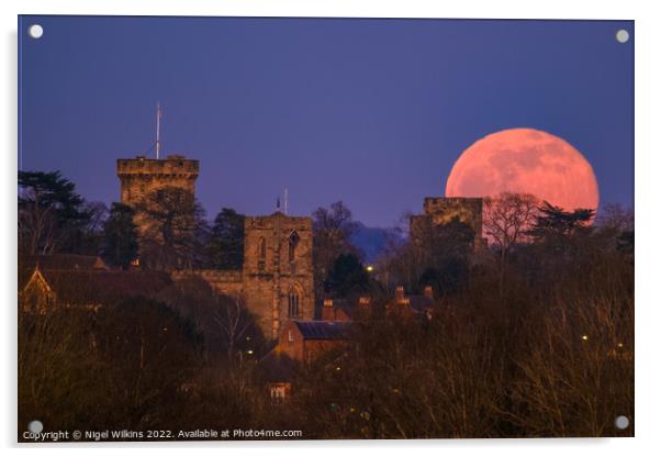 Warwick Castle Moonrise Acrylic by Nigel Wilkins
