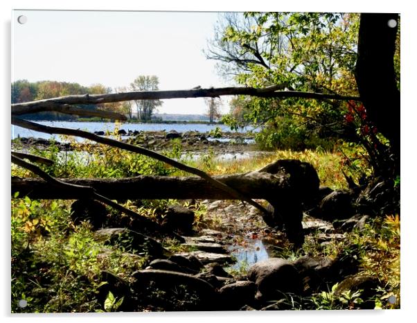 The Ottawa River Acrylic by Stephanie Moore