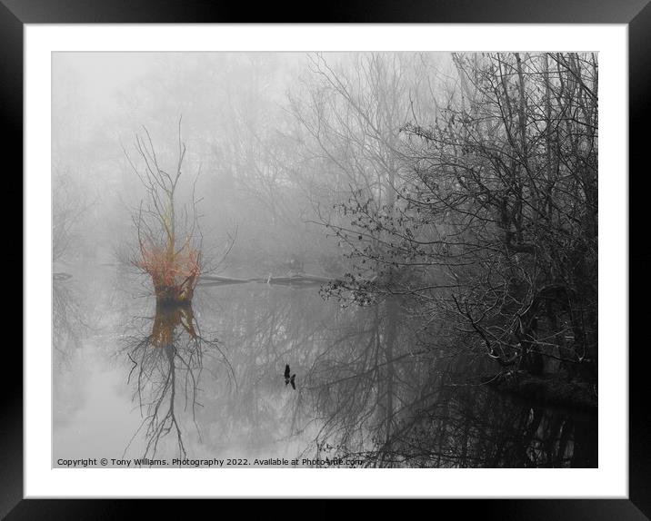 Misty Lake Framed Mounted Print by Tony Williams. Photography email tony-williams53@sky.com