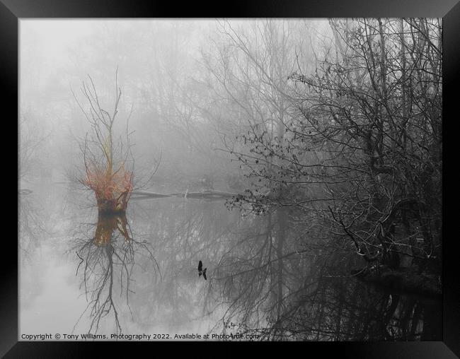 Misty Lake Framed Print by Tony Williams. Photography email tony-williams53@sky.com