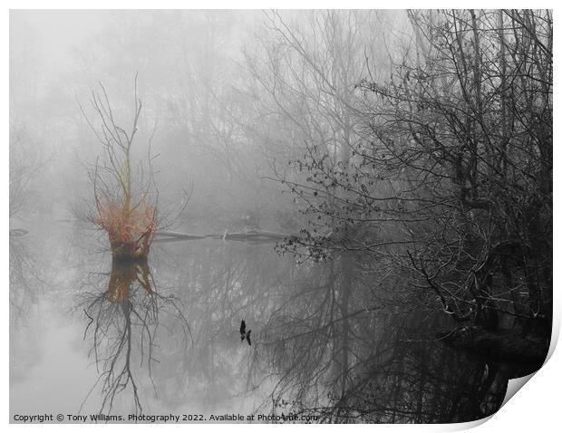 Misty Lake Print by Tony Williams. Photography email tony-williams53@sky.com