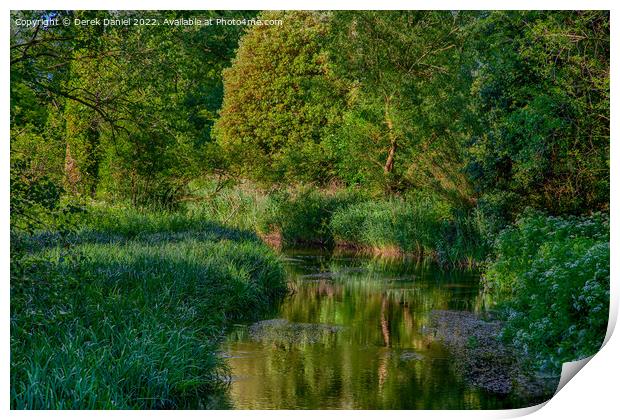 Reeds & Reflection Print by Derek Daniel