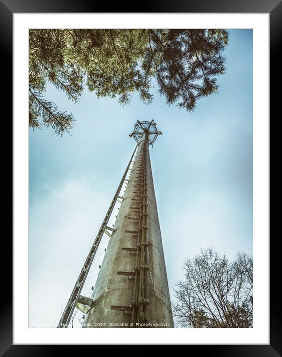 Telecommunication tower in the woods  Framed Mounted Print by Ingo Menhard