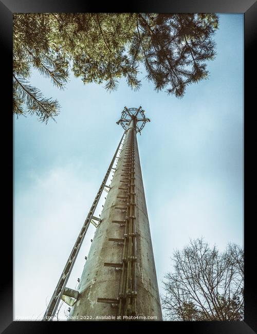 Telecommunication tower in the woods  Framed Print by Ingo Menhard