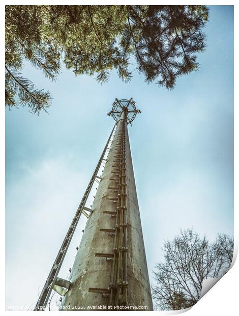Telecommunication tower in the woods  Print by Ingo Menhard