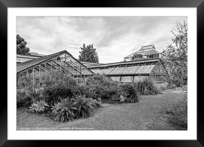 Cambridge botanical gardens Framed Mounted Print by Chris Yaxley