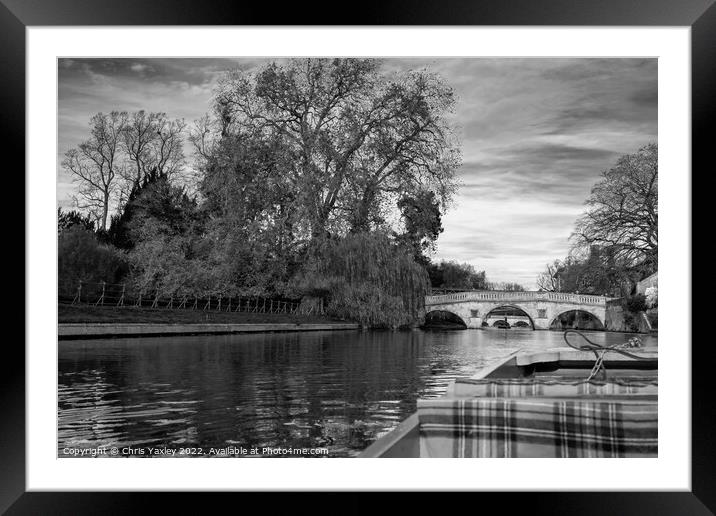Punting down Cambridge Backs Framed Mounted Print by Chris Yaxley