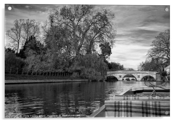 Punting down Cambridge Backs Acrylic by Chris Yaxley