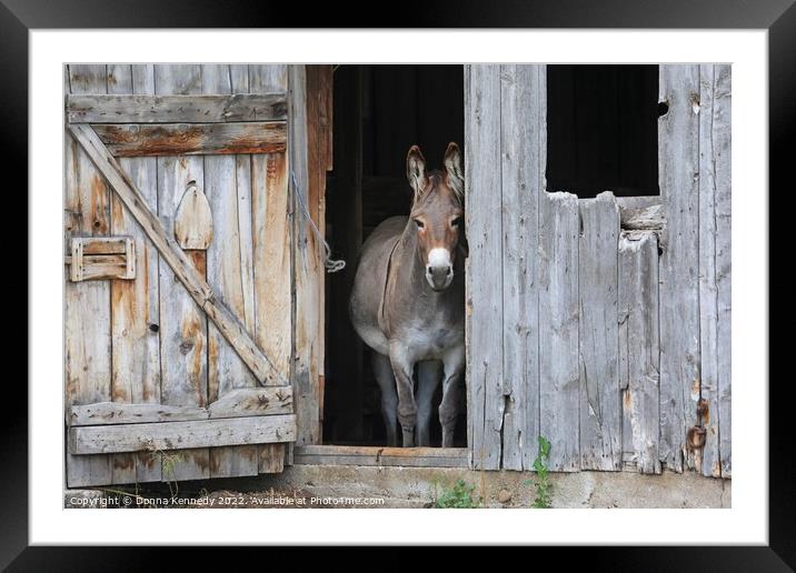 Howdy Framed Mounted Print by Donna Kennedy