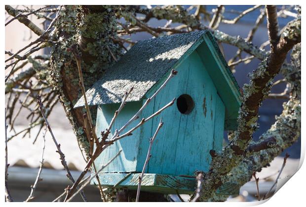 Green birdhouse in a tree Print by aurélie le moigne