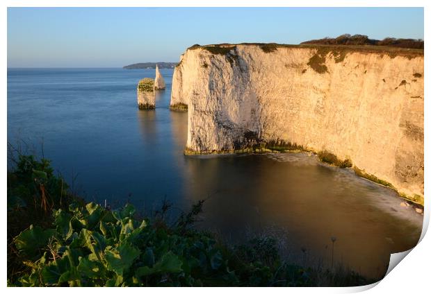 Morning at Old Harry Rocks Print by David Neighbour