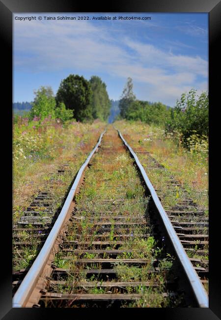 Narrow Gauge Railway in the Summer  Framed Print by Taina Sohlman