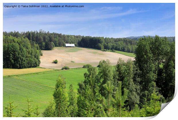 Rural Landscape with Forest, Farm and Field Print by Taina Sohlman